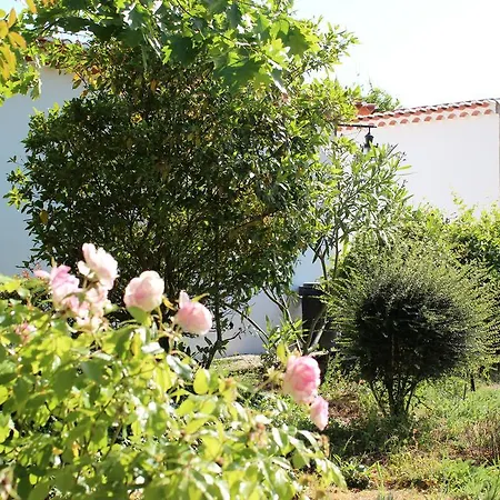 Sao Rafael - Landhaus *